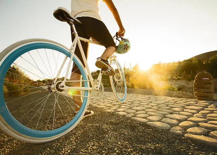 Aelia Wellness Retreat Hotel