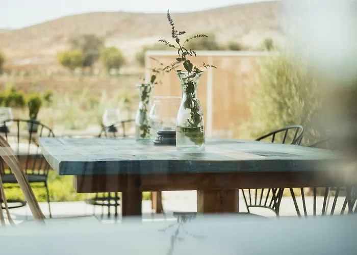 Aelia Wellness Retreat