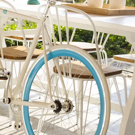 Aelia Wellness Retreat Nicosia