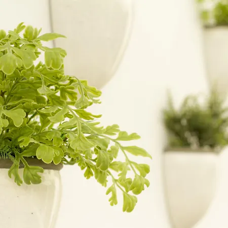 Hotel Aelia Wellness Retreat 4*