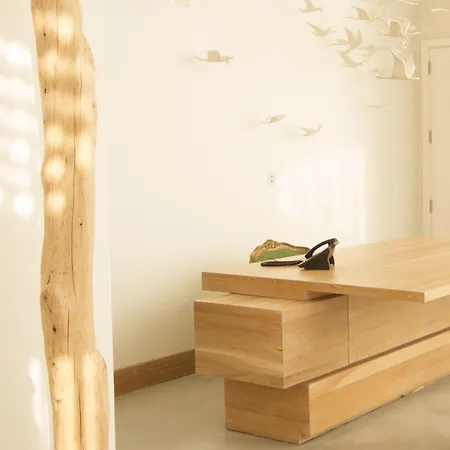 Aelia Wellness Retreat Hotel Nicosie