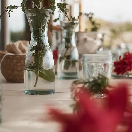 Aelia Wellness Retreat Отель Никосия
