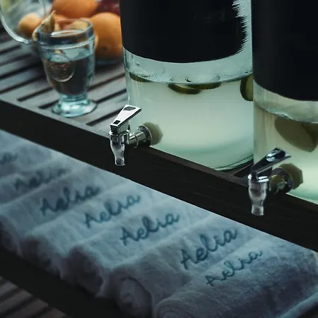 Aelia Wellness Retreat Отель