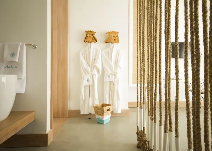 호텔 Aelia Wellness Retreat 4*