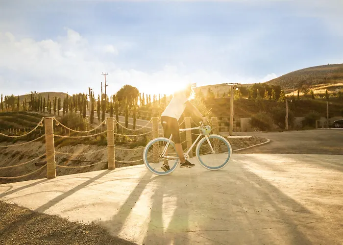 Aelia Wellness Retreat 호텔 4*