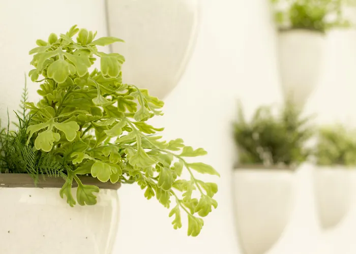 酒店 Aelia Wellness Retreat 4*