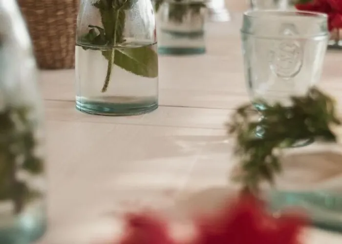 Aelia Wellness Retreat 호텔 4*