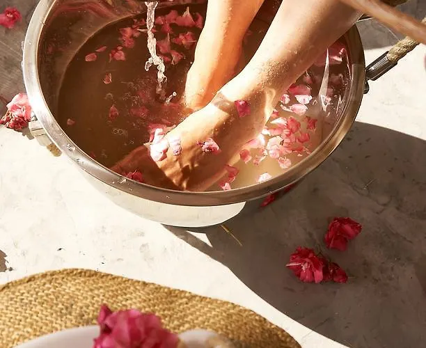 Aelia Wellness Retreat 酒店 4*