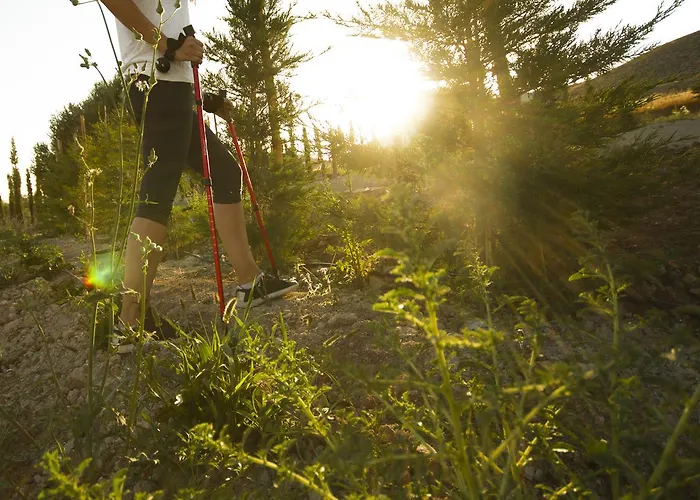 Aelia Wellness Retreat 4*