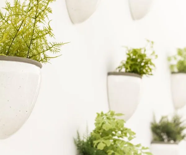 Aelia Wellness Retreat 4*