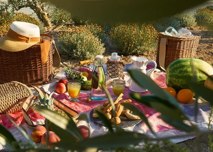 Aelia Wellness Retreat