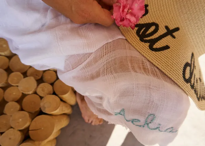 Aelia Wellness Retreat 酒店 4*