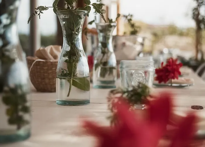 Aelia Wellness Retreat 酒店 尼科西亚