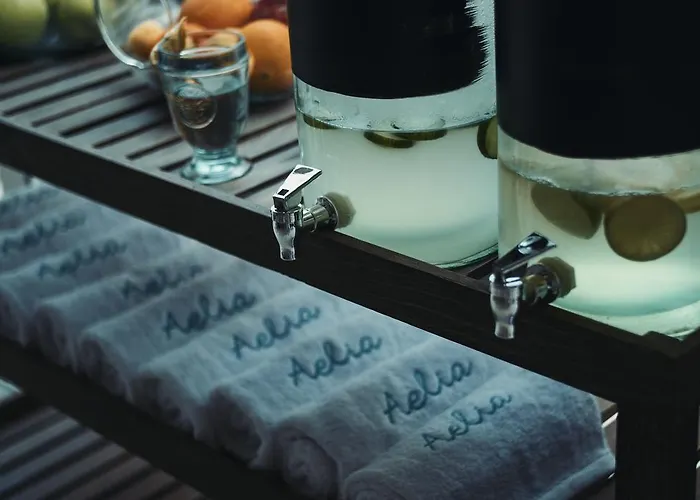 Aelia Wellness Retreat 酒店