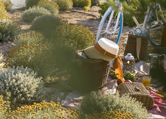 Aelia Wellness Retreat Hotel Nicósia