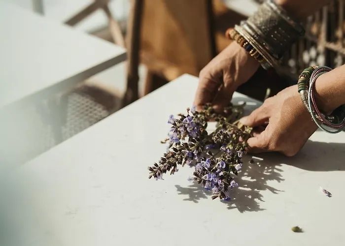 Aelia Wellness Retreat Ξενοδοχείο 4*